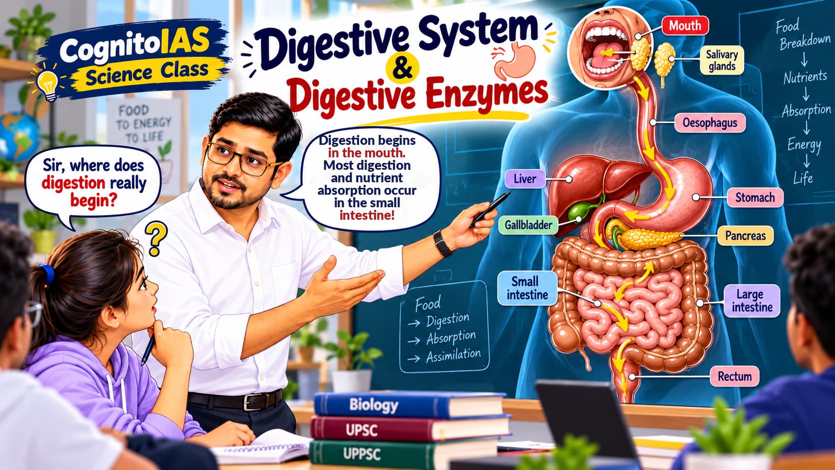 CognitoIAS Science Class overview of the human digestive system and organs